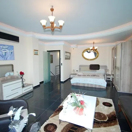 Kestel فيلة *